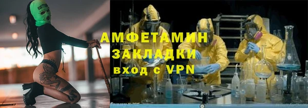 индика Алзамай
