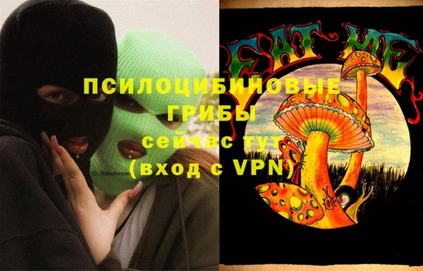 сатива Алексин