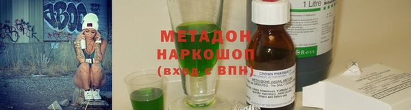 индика Алзамай