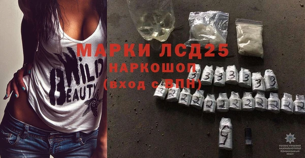 индика Алзамай