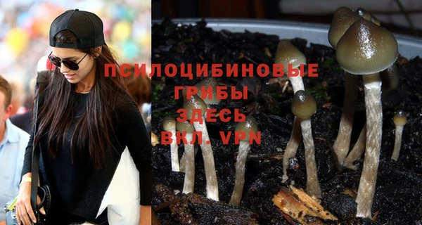 ешки Абдулино