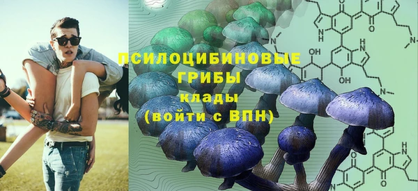 PSILOCYBIN Снежногорск