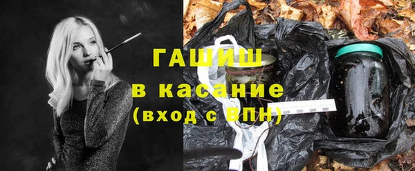 индика Алзамай