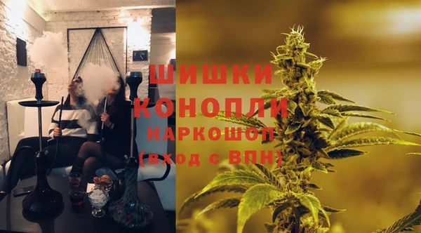 сатива Алексин