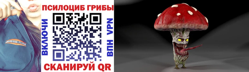 как найти закладки  Зарайск  Псилоцибиновые грибы мухоморы 